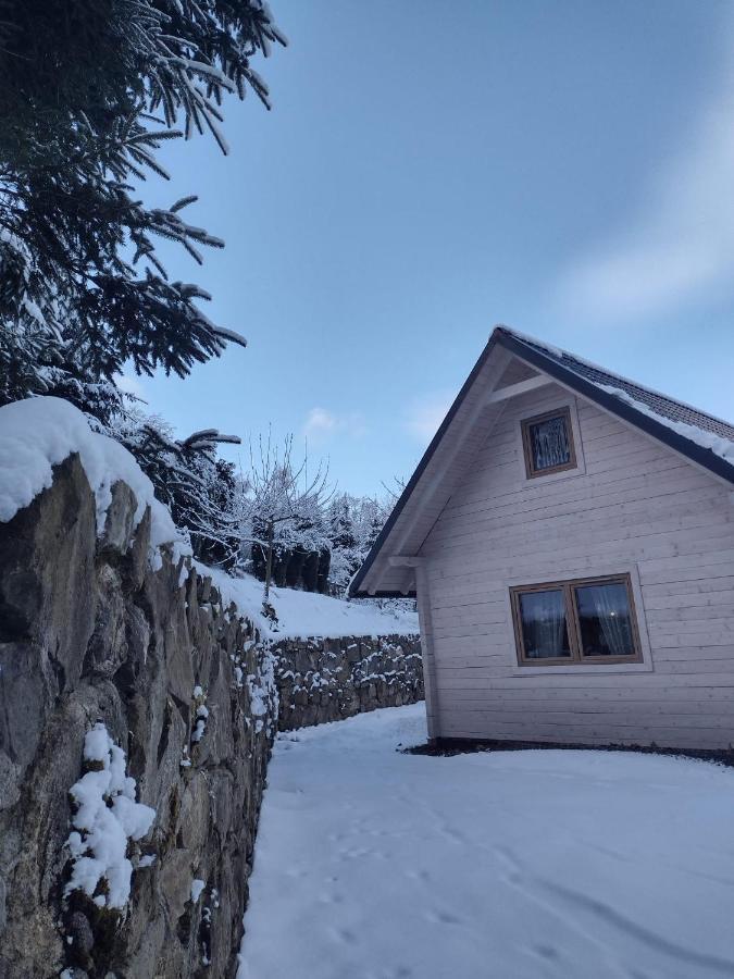 Domek Na Leśnym Wzgórzu Pieszyce Exterior foto