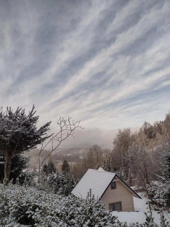 Domek Na Leśnym Wzgórzu Pieszyce Exterior foto