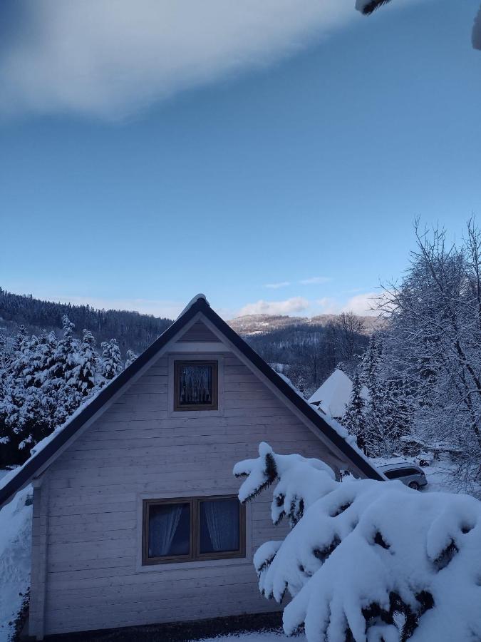 Domek Na Leśnym Wzgórzu Pieszyce Exterior foto