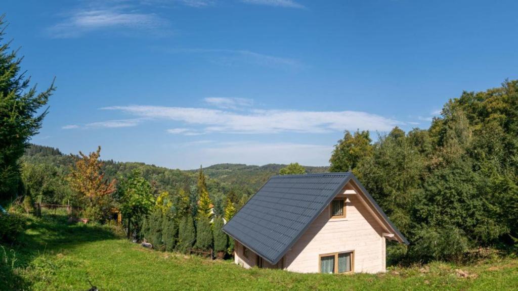Domek Na Leśnym Wzgórzu Pieszyce Exterior foto